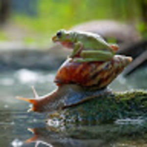 Meet your Posher, Claire